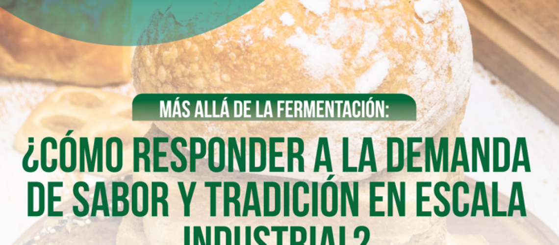 Captura de pantalla 2026-02-25 182519