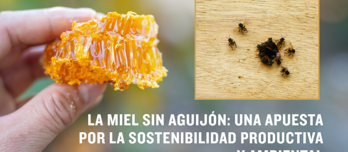 Imagen entrada web alimentos (12)