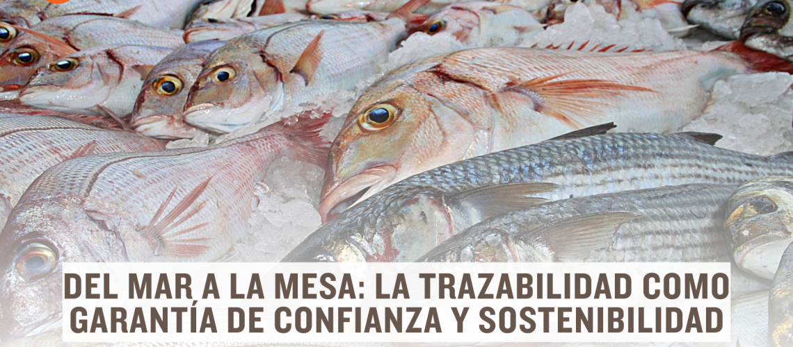 Imagen entrada web alimentos (21)