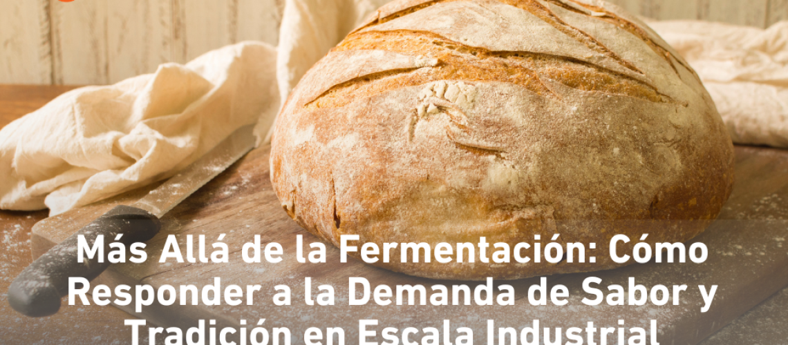 Imagen entrada web alimentos (33)